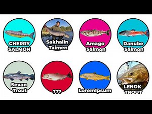 Every Exotic Fishing Salmon Explained