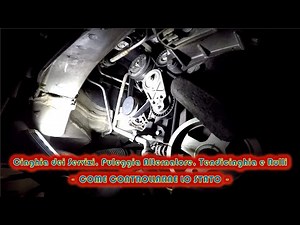 Controllo CINGHIA Servizi, PULEGGIA Alternatore, Cuscinetti RULLI e TENDITORE
