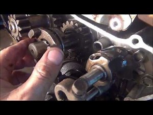 King Quad fused gear