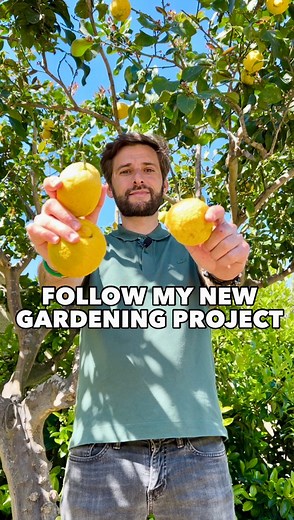 161K views · 3.3K reactions | Follow my new gardening project in Sicily  Starting a balcony garden & a backyard garden from scratch  #GardenDesign #vegetables #gardenlife #balcony | Thefrenchiegardener | Facebook
