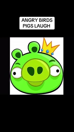 Angry Birds Pigs Laugh Compilation