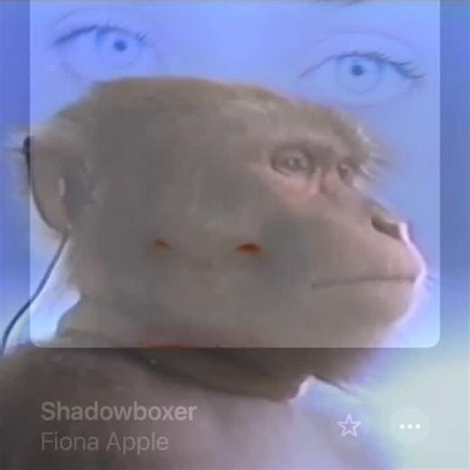Retro Monkey on Instagram: "monkey listening to Fiona Apple - Shadowboxer fun fact: The lyrics is inspired from Apple’s real-life experiences with teenage infatuation and mistreatment, using the “shadowboxing” metaphor for preparing for an unhealthy love interest. #90s #fionaapple #shadowboxer #tidal #fyp #reels #daily #request #classic #mood #music #song #retromonkey"