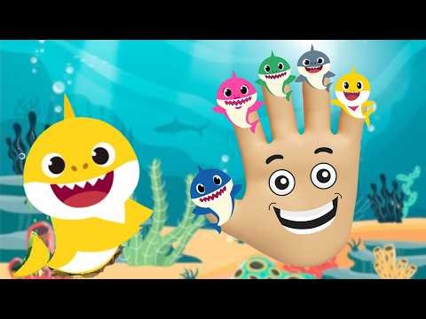Shark Finger Family 🦈 | Nursery Rhymes for Kids | Fun Animal Song