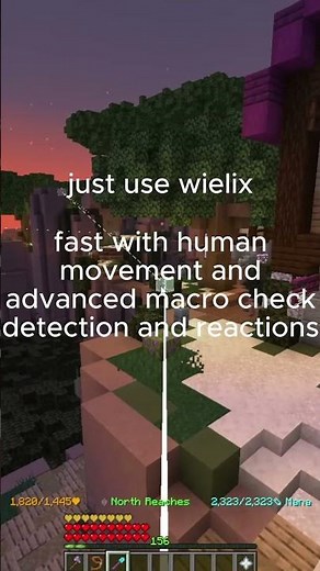 Wielix Client I Hypixel Skyblock I Hunting Macro
