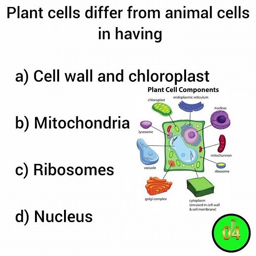 Biology GK Questions and Answers #biologyquiz #biology