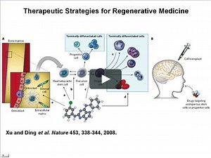Nuclear Reprogramming - Sheng Ding, The Scripps Research Institute