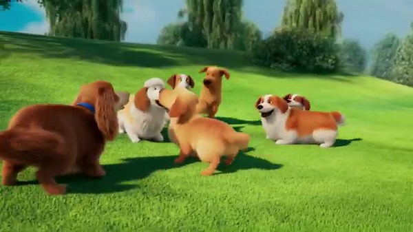 Dog Song for Preschool – English Puppy Nursery Rhyme and Fun Learning Music for Kids