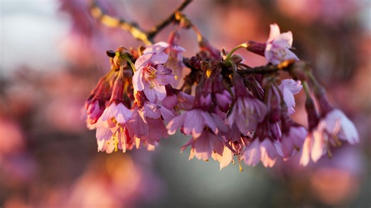 Things to do and places to add to your spring 2024 bucket list in North Jersey