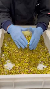 41K views · 372 reactions | Guess what's coming this Easter...  That's right, Artisanal Easter Eggs!  | Maypole | Facebook