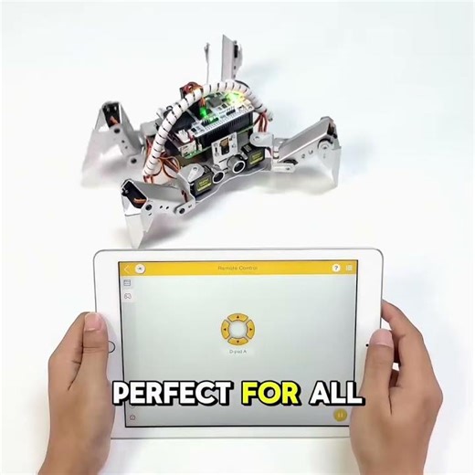 spider robbot control the arduino with technology