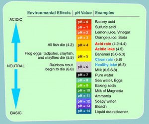 Introduction to Acids and Bases and Strong Acids and Bases