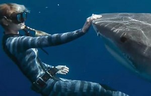 Ocean Ramsey is sharing her shark conservation efforts through social media posts showing her swimming in the open ocean next to sharks without a cage. She shares more about her lifelong mission to “demistify” the apex predators in her new Netflix documentary, “Shark Whisperer.” https://cbsn.ws/4lbMDKw | CBS Mornings