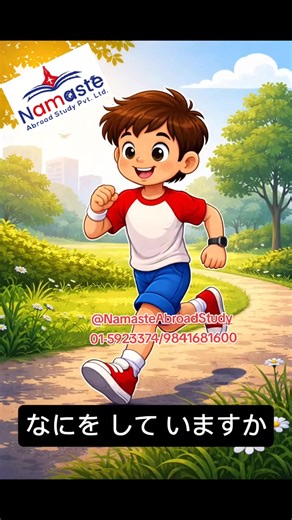 Essential Guide to Studying in Japan