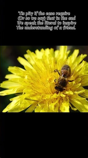 Classic Poem - "Revelation" by Robert Frost, read by Stephen J.N. Bauhart #poem #work #nature