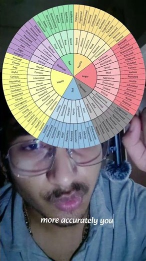 EMOTIONAL WHEEL ACTIVITY