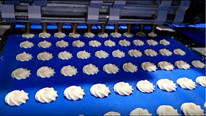 [Hot Item] Automatic Wire Cut and Deposit Cookie Machine for Sale