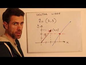 Free vector and fixed vector