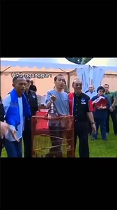 Wayaeh ngrumat manuk pak dhe😁🫡🇮🇩 | Susi Ngapak