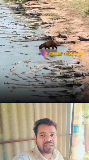 2K views · 21 reactions | Dinesh D Kumar on Reels | Facebook