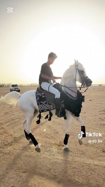 خفايف مع الشيخة مـوزون 🤍🤍 #خيل_وخياله🐎 #خيل #explore #fyp #غسان_الجهني