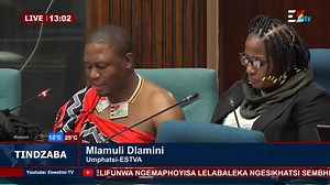 2.9K views · 49 reactions | TINDZABA | Eswatini TV CEO, Mlamuli Dlamini, addresses the Public Accounts Committee at Parliament. | Eswatini TV | Facebook