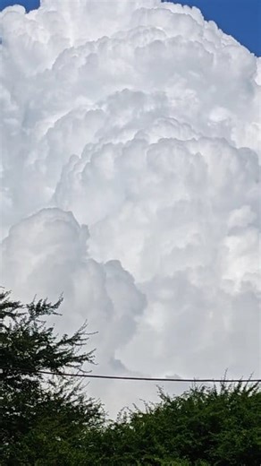 2.1K views · 142 reactions | "Lost in the endless beauty of the sky, where clouds paint stories of peace and freedom. ☁️✨" #SkyBeauty #Cloudscape #NatureLovers #SkyPhotography #PeacefulMoments #CloudArt #BlueSkyVibes #NatureInspires #BeautifulNature #SkyMagic | Blooming Nature Tales | Facebook