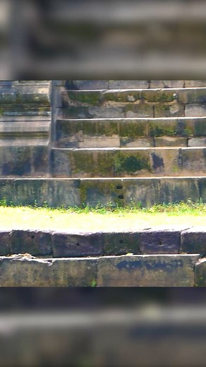 Monkey war | Monkey Magic