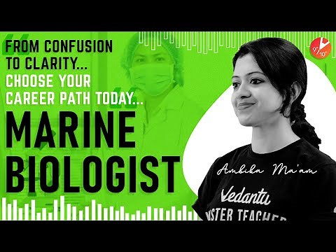 How to Become a Marine Biologist? Marine Biology Career | Course Skills Job Salary | Vedantu