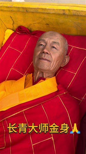 Highly restored in demeanor and charm, this wax figure of Master Changqing is incredibly vivid.#原创视频 #仿真 #蜡像 #热搜热搜我要上热搜 艺术