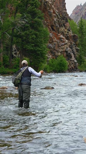 Pluff Mud Outfitters on TikTok