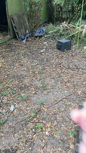 195K views · 5.8K reactions | Thanks to Clawsable for the furtastic feral cat shelters!  #feralcats #catshelters #communitycats #cats | Cat Man Chris | Facebook