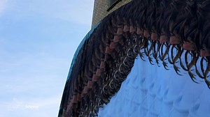 2.4K views · 338 reactions | #Sélestart Coup d’envoi de la 25ème...