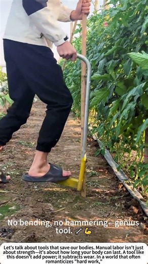 Stand & Deliver: Power-Staking Garden Poles 🥒🔨