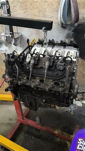 Clean LS Is a Happy LS 🧼🚿 Lexus is300 LS Swap Build ⚒️ #lexus #is300 #ls1 #ls #lsswap