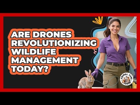 Are Drones Revolutionizing Wildlife Management Today? - Animal Care Jobs