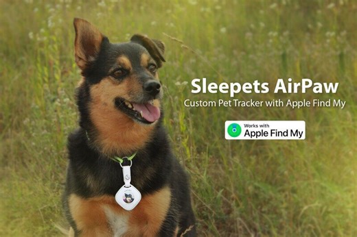 Personalized Pet-Tracking Tags