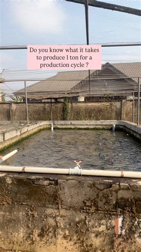 1.2K views · 45 reactions | As an experienced agricultural...