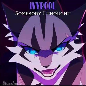 Matching Warrior cats and Wings of fire to the lyrics! (Recommened) #warriorcatd #wingsoffire