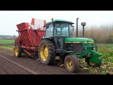 Vintage Sugarbeet Harvest | Lots of Great Machinery in The Field Harvesting Beets