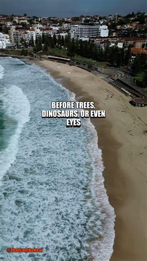 There's a ROCK That's More ALIVE Than You 🪨