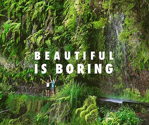 162 reactions · 6 comments | Come to Madeira and discover all the experiences the island has to offer. | Visit Madeira | Facebook