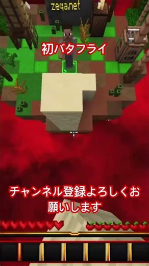 初バタフライ#minecraft #zeqa #switch