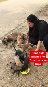 25K views · 1.8K reactions | Road side mother and new born puppies mileee unko ghar bana ke diya and safe Kiya please support us give blessings to us #dogs #dog #puppies #puppylove #streetdogs #streetdogsofindia #homeless #home #support #help #pray #reels #viral #fb #fbreelsfypシ゚viral #fbreels23 | Bezubaanjaan1517 | Facebook