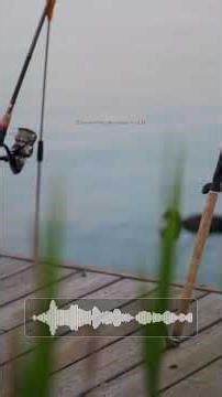 The Bystander Effect: Why a Crowd WON'T Help You (and how to get help!)