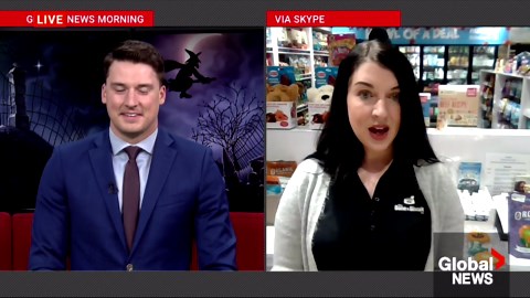 Halloween costume ideas for your dog