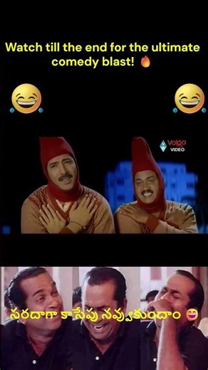 Sunil Comedy Timing That Never Fails 😂 Non-Stop Funniest Moments Telugu Comedy Scenes