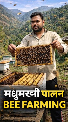 Uttarakhand Mein Madumakhi Palan 🐝 | Bee Farming Full Process + Income 💰 #beefarming #madumakhipalan