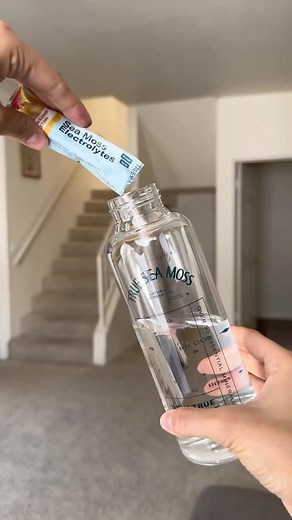 TRUE SEA MOSS | #1 Bestselling Sea Moss on Instagram: "Monday through sunday — if i’m there, my electrolytes are there 🫡 #trueseamoss #electrolytes #hydration #mineralboost #wellness #oceanminerals #healthyhabits"