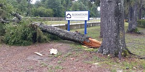 Strong storms knock down tree in Gainesville, lane blocked temporarily