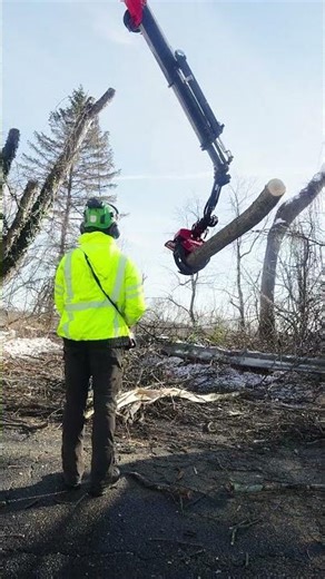 Palfinger Knuckleboom Tree Removal Job - Stratford, CT Part Three